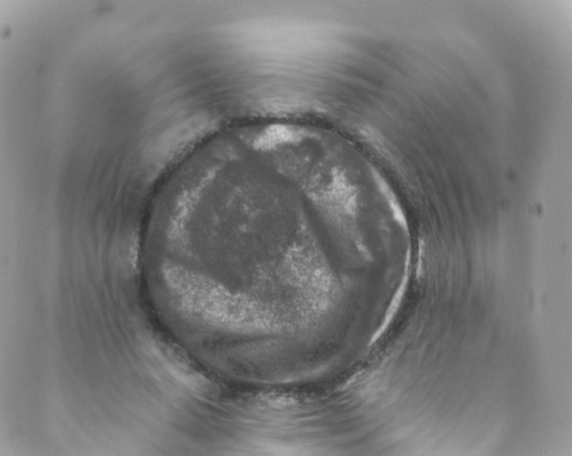 X0000089440640200707061409