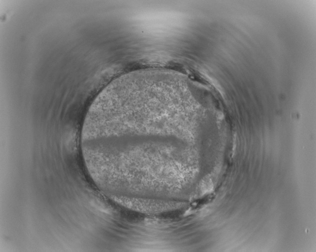 X0000089440641200707061409