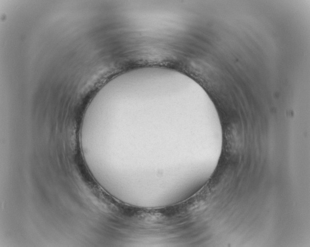 X0000089440642200707061409