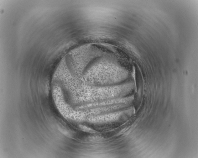 X0000089440644200707061409