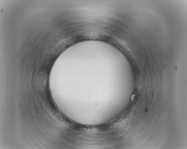 X0000089440645200707061409