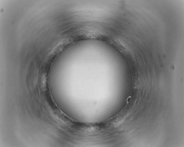 X0000089440646200707061409