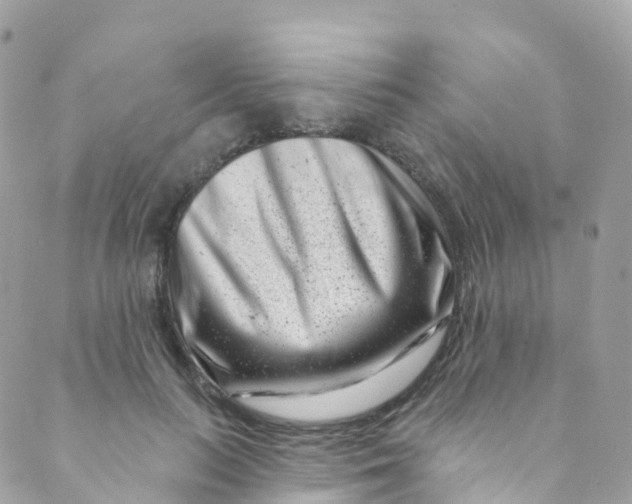 X0000089440647200707061409