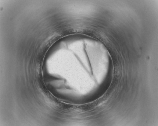 X0000089440648200707061409