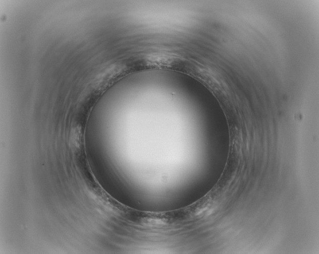 X0000089440649200707061409