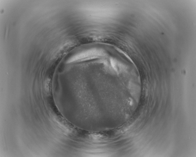 X0000089440650200707061409