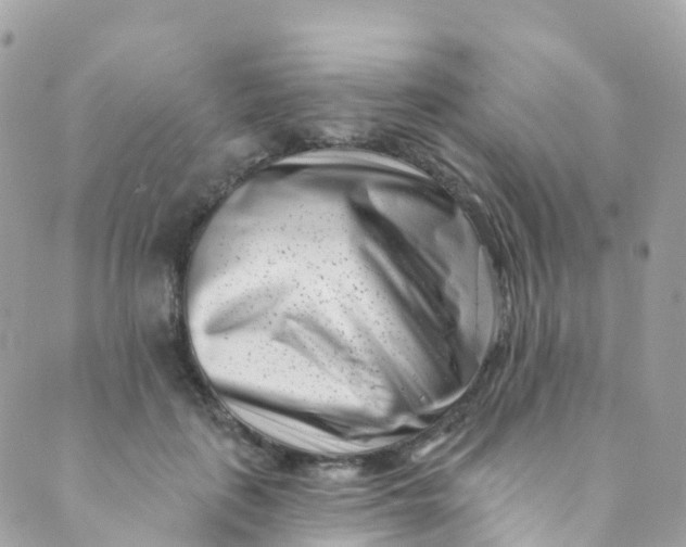 X0000089440651200707061409