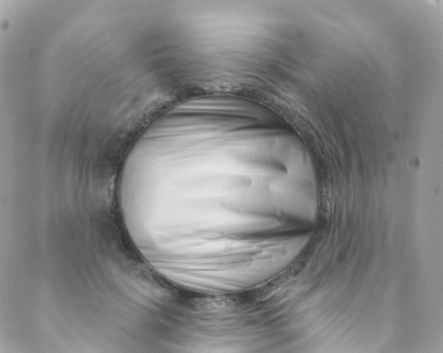 X0000089440652200707061409