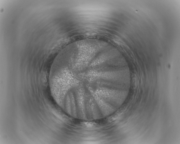 X0000089440654200707061409