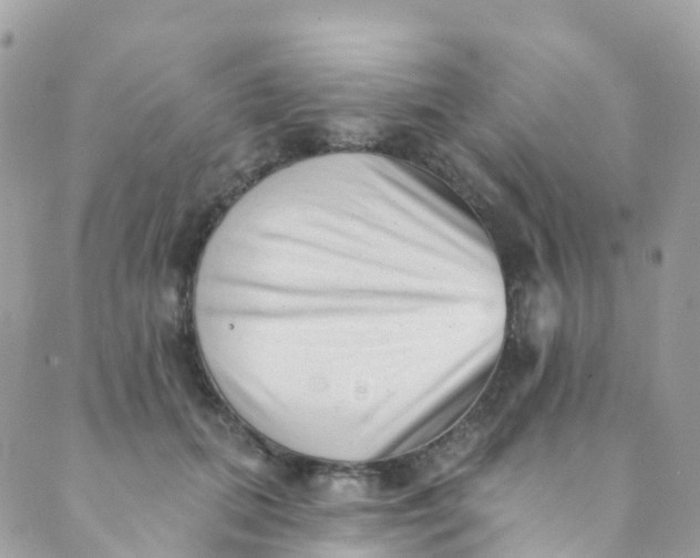 X0000089440655200707061409