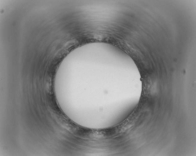 X0000089440656200707061409