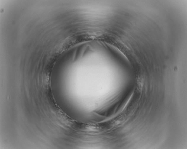 X0000089440657200707061410