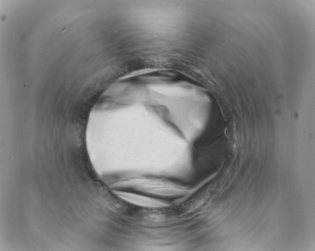 X0000089440658200707061410