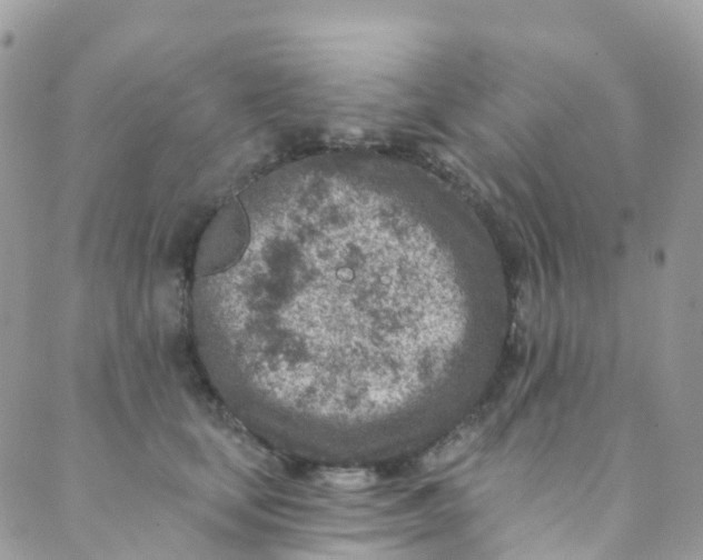 X0000089440659200707061410