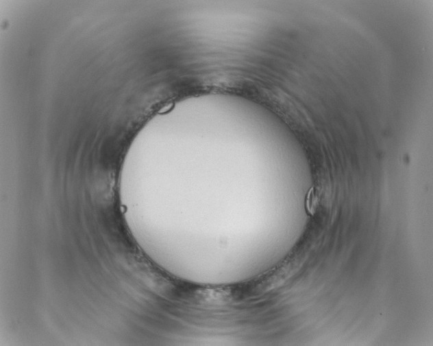 X0000089440660200707061410