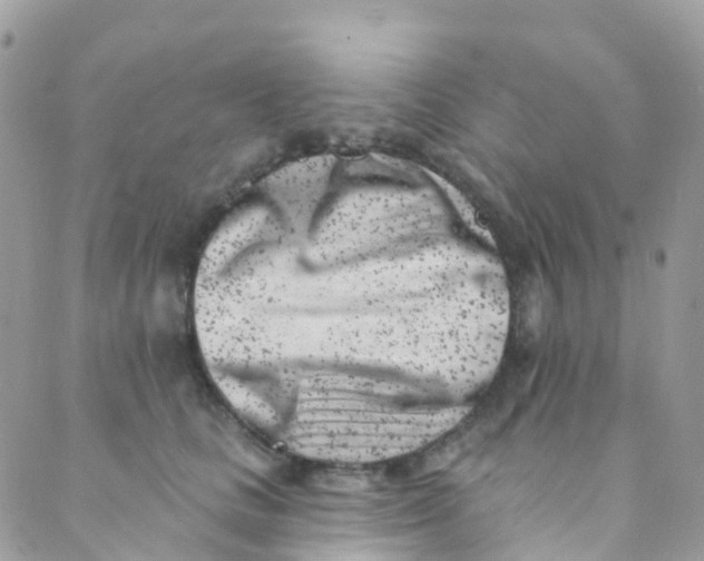 X0000089440661200707061410