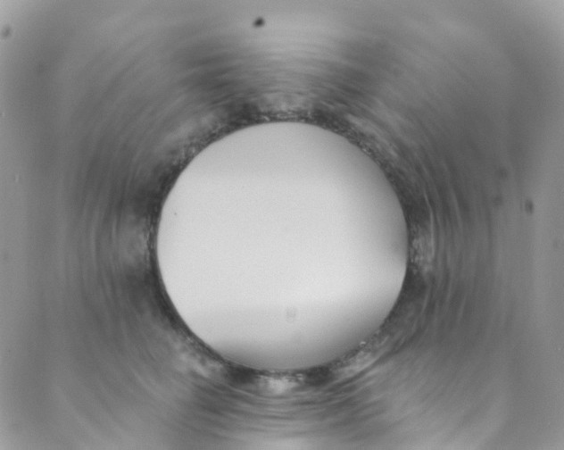 X0000089440662200707061410