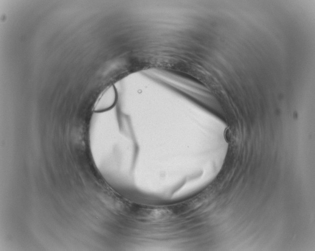 X0000089440663200707061410