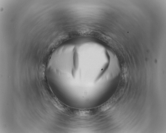 X0000089440664200707061410