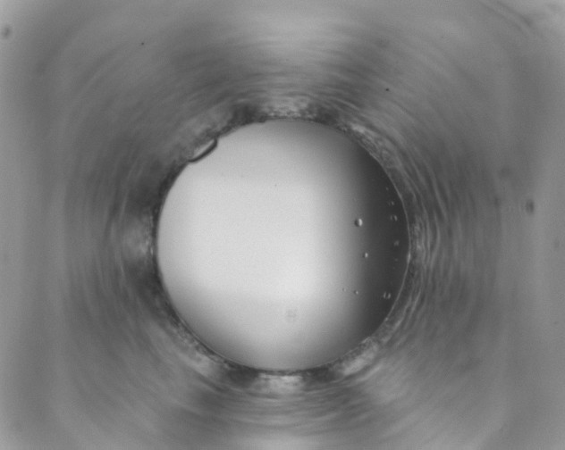 X0000089440665200707061410