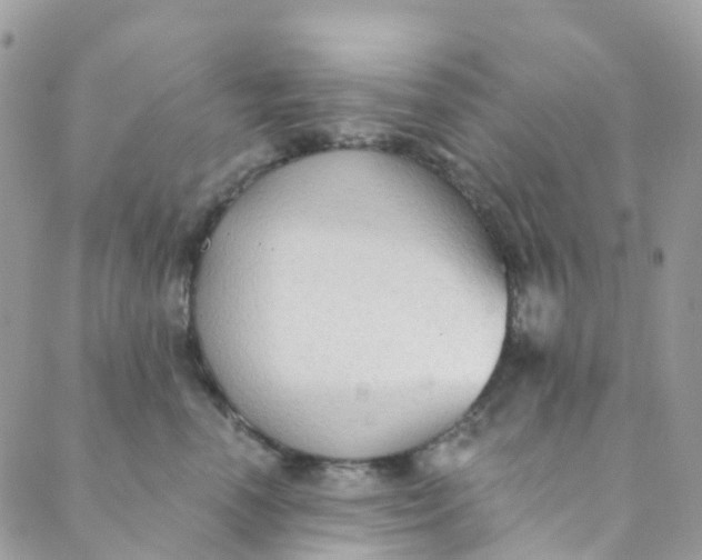 X0000089440666200707061410