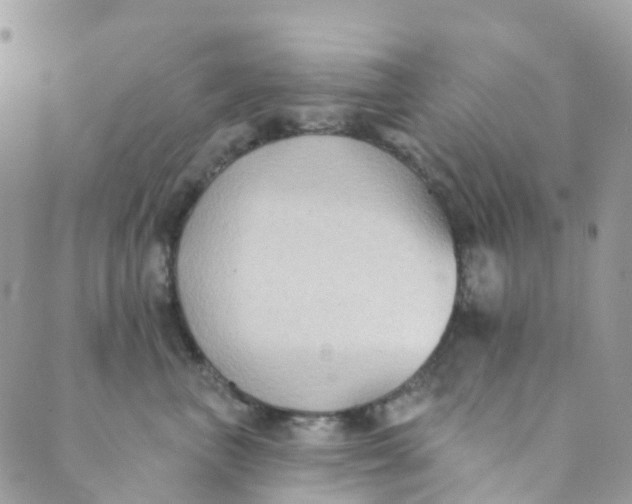 X0000089440667200707061410