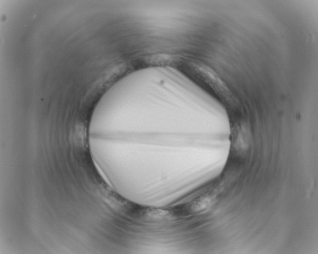 X0000089440669200707061410