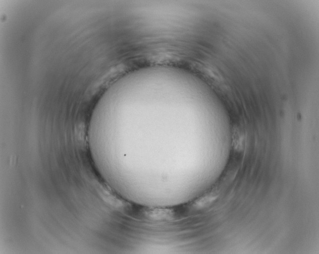 X0000089440670200707061410