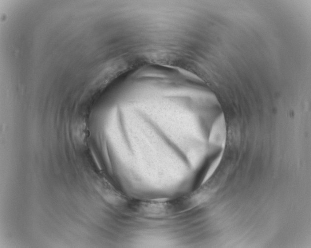 X0000089440671200707061410