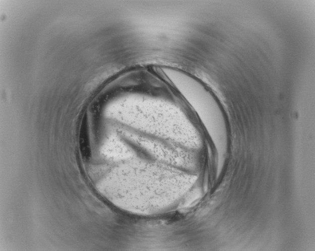 X0000089440673200707061409