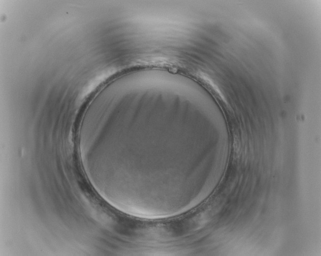 X0000089440674200707061409