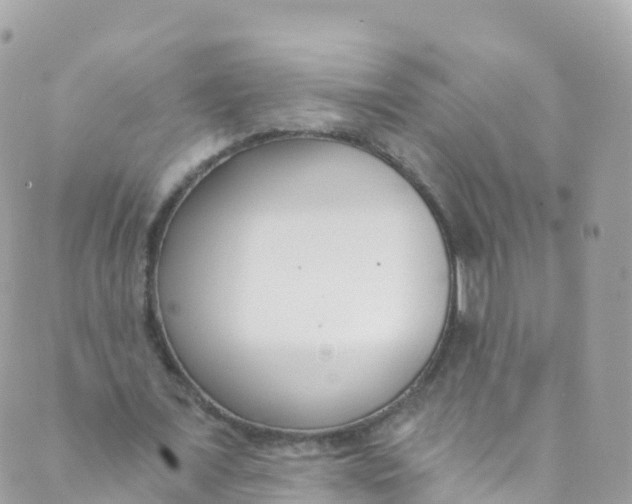 X0000089440675200707061409