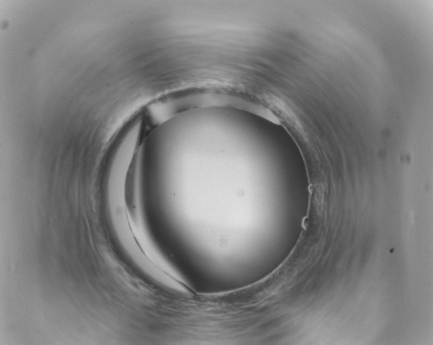 X0000089440676200707061409