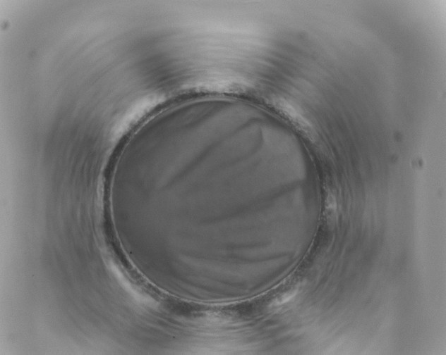 X0000089440678200707061409