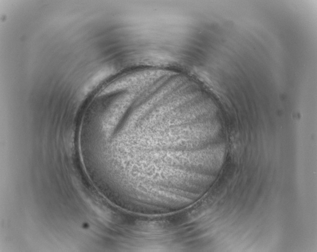 X0000089440679200707061409