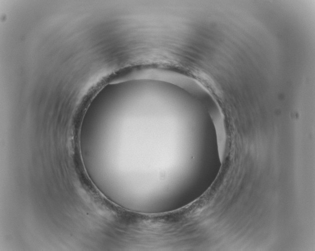 X0000089440680200707061409