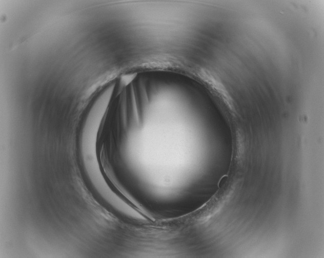 X0000089440681200707061409