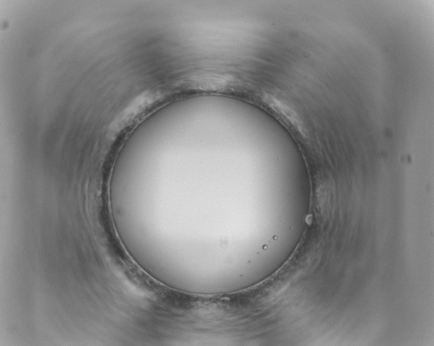 X0000089440682200707061409