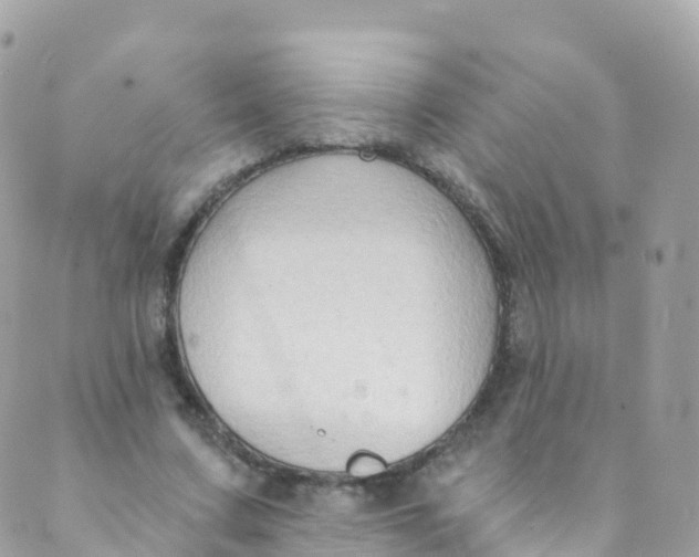 X0000089440683200707061409