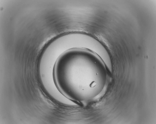 X0000089440684200707061409