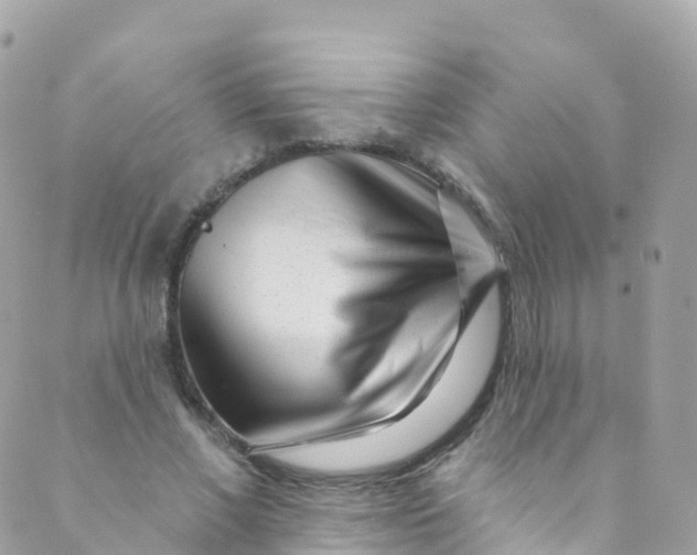 X0000089440685200707061409