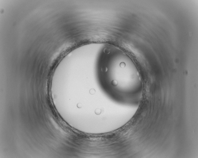 X0000089440686200707061409