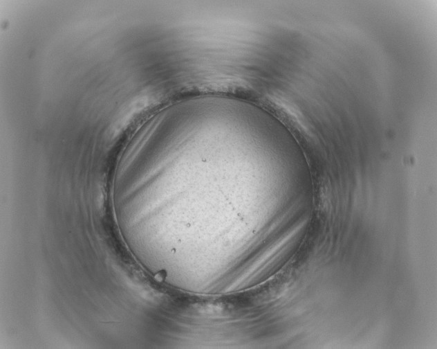 X0000089440687200707061409