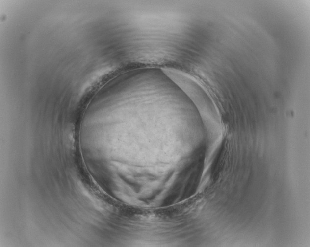 X0000089440688200707061409