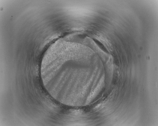 X0000089440689200707061409