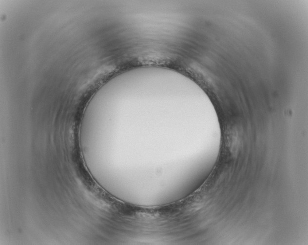 X0000089440690200707061409