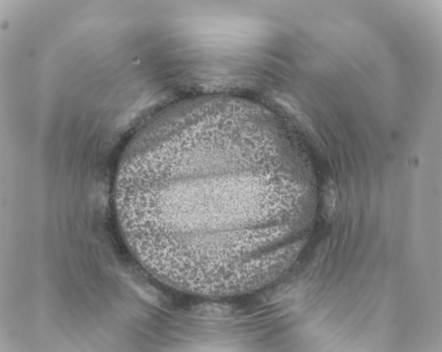 X0000089440691200707061409