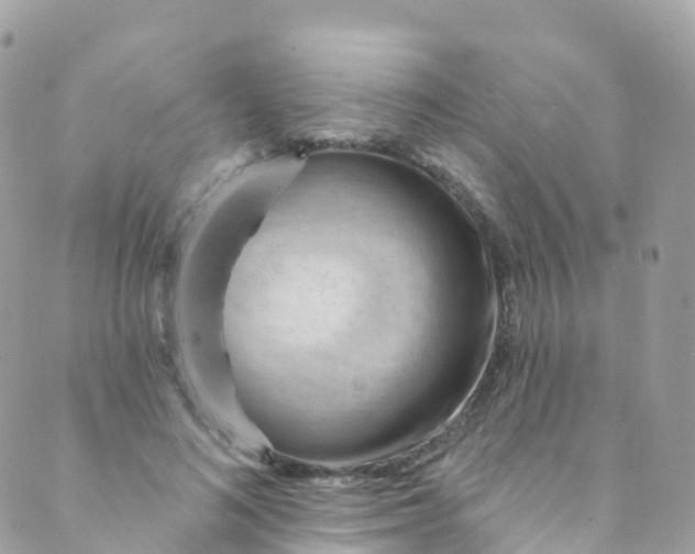 X0000089440692200707061409