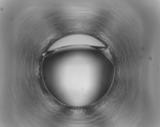 X0000089440693200707061409