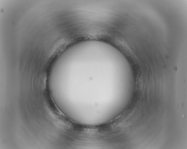 X0000089440694200707061409